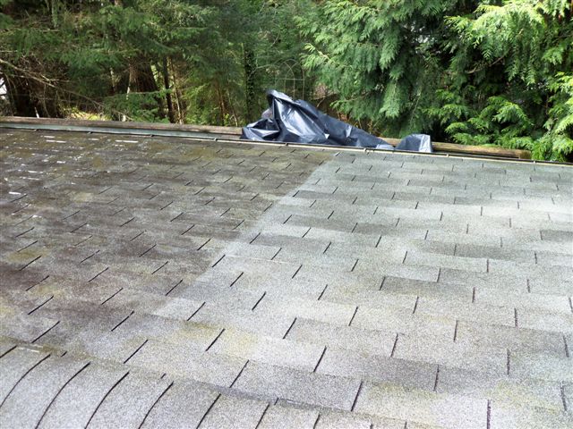 Roof Cleaning Seattle Guardian Roofing 877-926-9966