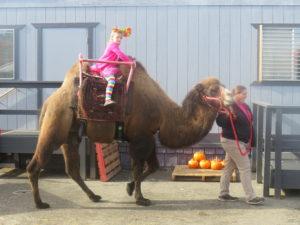 Guardian Employee Appreciation Harvest Festival